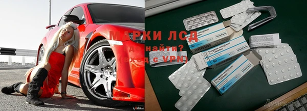 индика Алексеевка