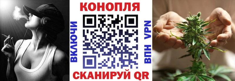 Каннабис SATIVA & INDICA  Мостовской 